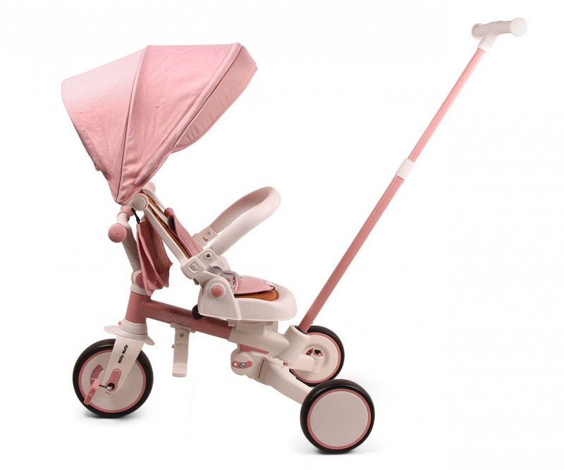 Milly Mally Rowerek Trójkołowy Zippy Pink