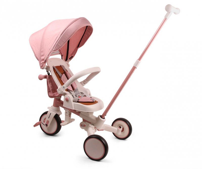 Milly Mally Rowerek Trójkołowy Zippy Pink