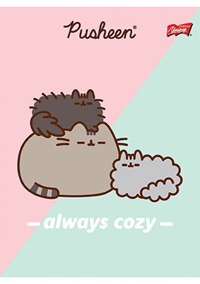 Zeszyt w trzy linie  32 kartkowy Kotek Pusheen The Cat